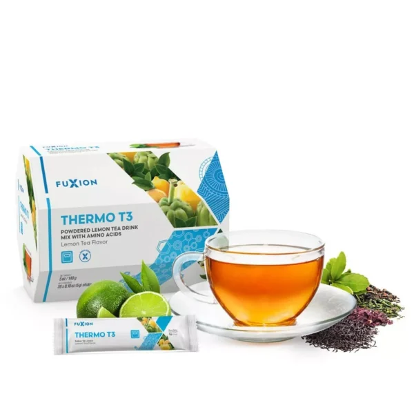 TERMO T3